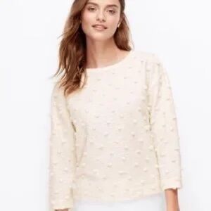Ann Taylor Cream Textured Blouse